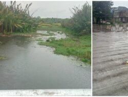 Penggiat Lingkungan Sorot Kritis Mandeknya Kasus RRP di Kota Makassar, Sulsel