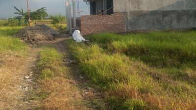 LSM KCBI Soroti Dugaan Pelanggaran UU Lahan Pertanian di Medan Krio