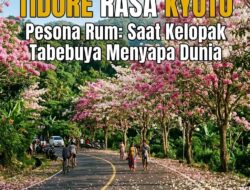 TIDORE RASA KYOTO